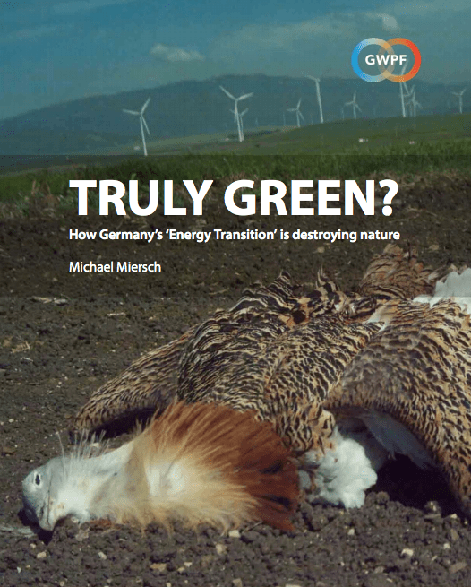 Germany_s Energiewende is destroying nature